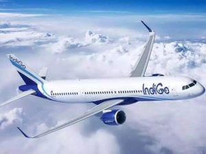 Indigo